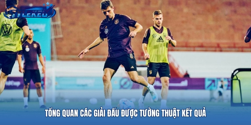 Tổng quan các giải đấu được tường thuật kết quả