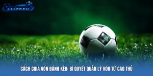 Cách Chia Vốn Đánh Kèo: Bí Quyết Quản Lý Vốn Từ Cao Thủ