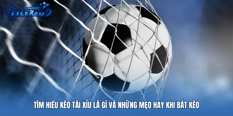 Tìm Hiểu Kèo Tài Xỉu Là Gì và Những Mẹo Hay Khi Bắt Kèo