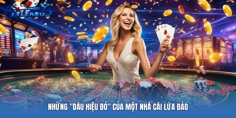 Quy trình tự kiểm định một nhà cái uy tín trước khi xuống tiền