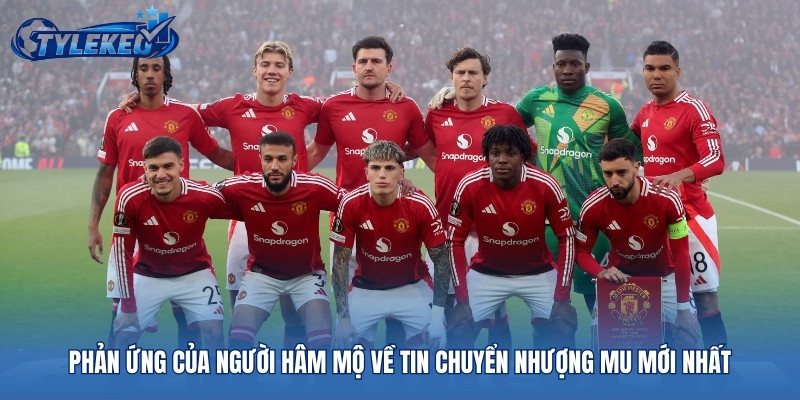 Phản ứng của người hâm mộ về tin chuyển nhượng MU mới nhất