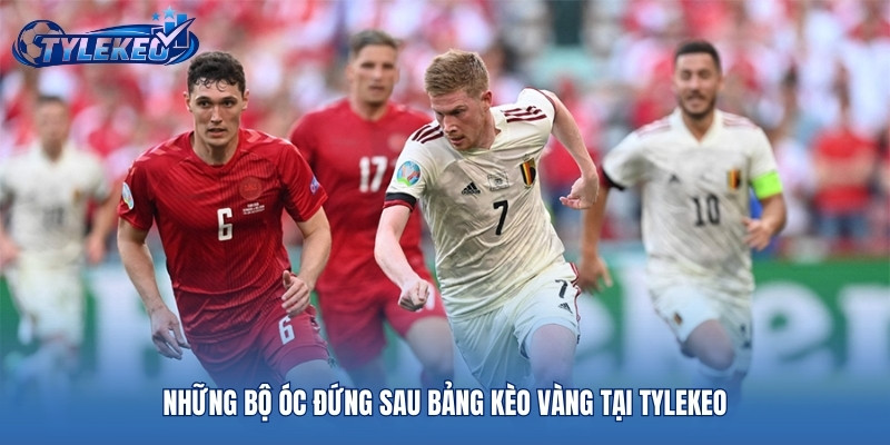 Những bộ óc đứng sau bảng kèo vàng tại Tylekeo